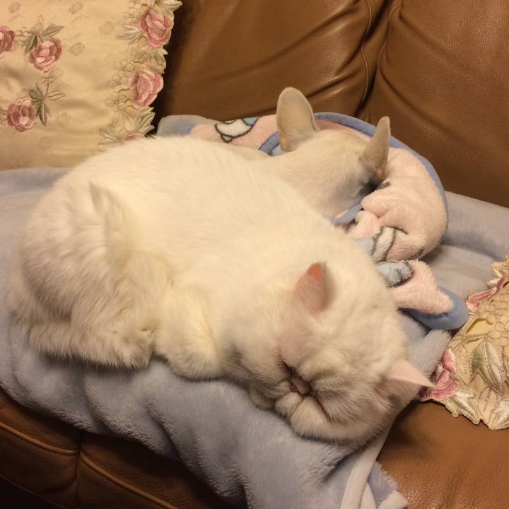 Ab420c16 8c43 4261 96bc 61499dab9bcb