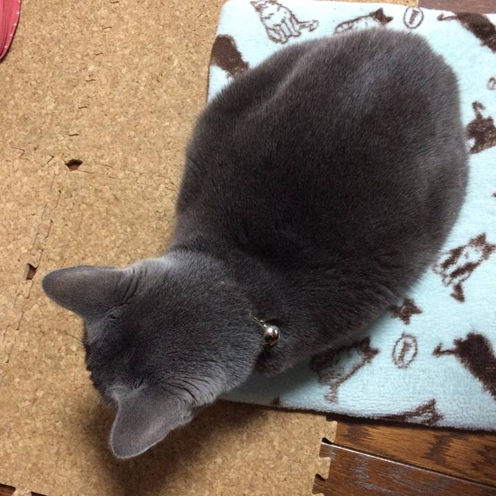 Ab4226e1 1d1b 49ad 8ae4 c55513f35baa