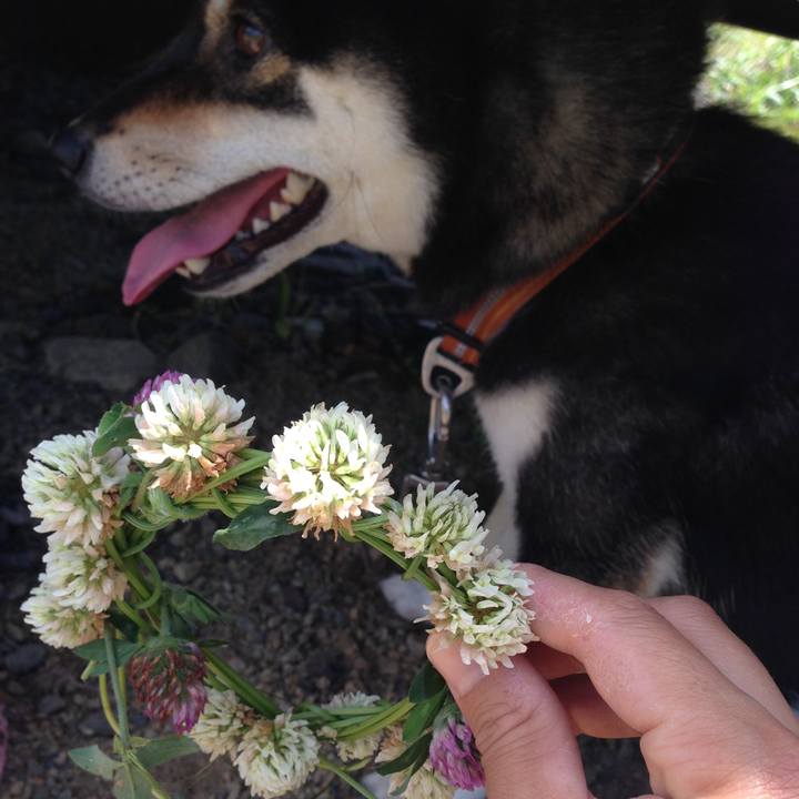 Ab423acb 4442 481e 8966 343f8ce67c28