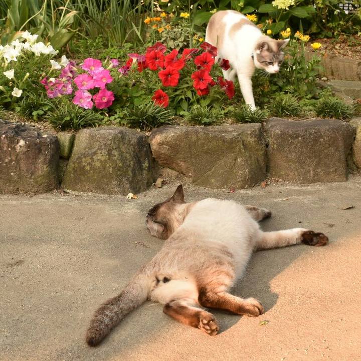 Ab423f65 54e9 4a1f 84f6 5aa72236ead9