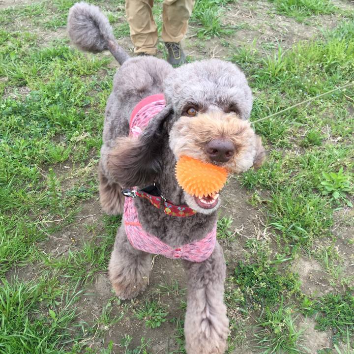 Ab4273f1 b79d 462b b80e 35dd73d17a5e