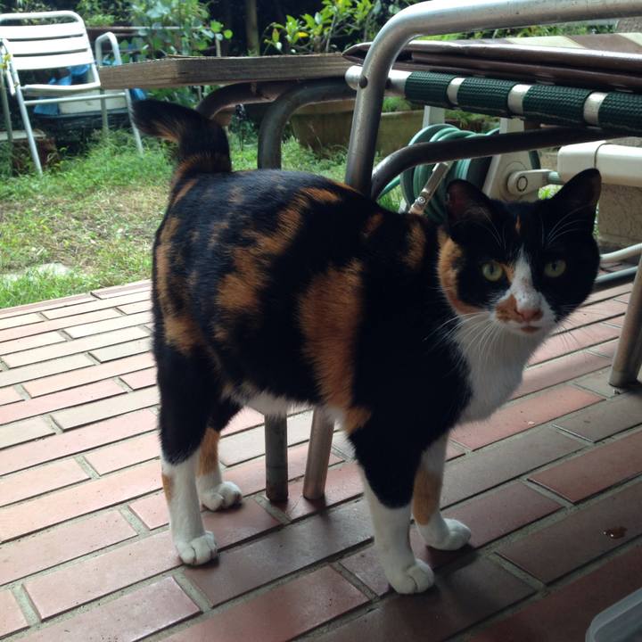 Ab428190 cb43 4342 a3e2 a03e44bfc38c