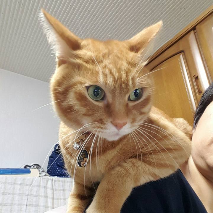 Ab42e32c 4546 4b9f 9431 867b71be353f