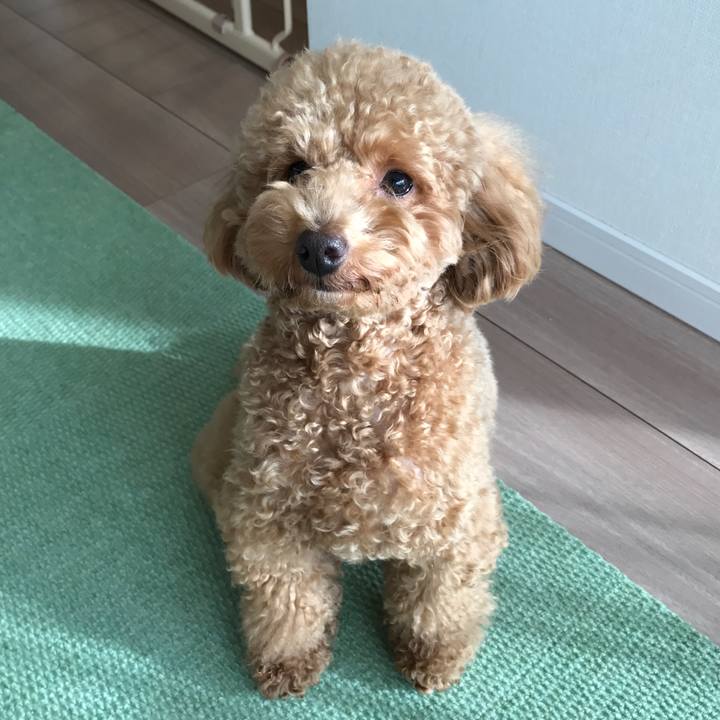 Ab42ff55 b88e 41a1 91bf d81839f4873d