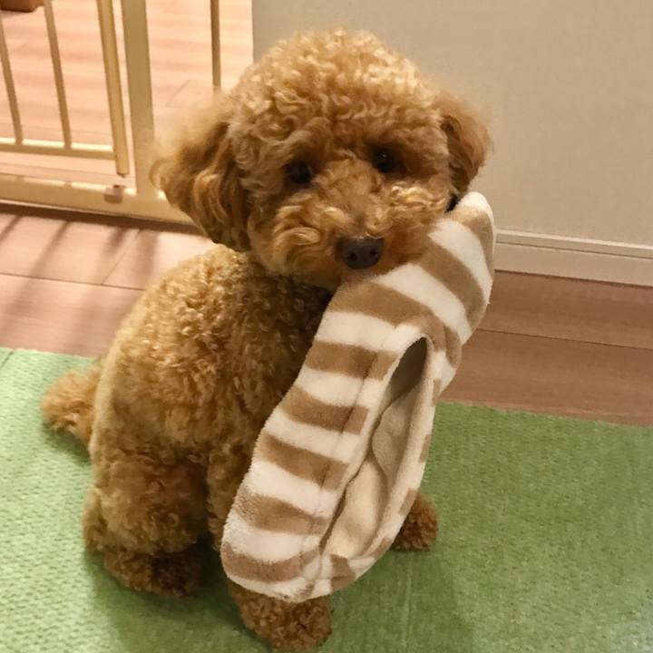 Ab433bc9 cc2f 4a16 955c 4084406bf2ae