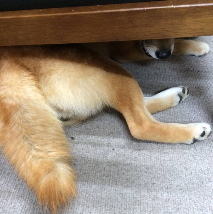 Ab441ea5 9ac3 41de a64a b11a6c75c1ad