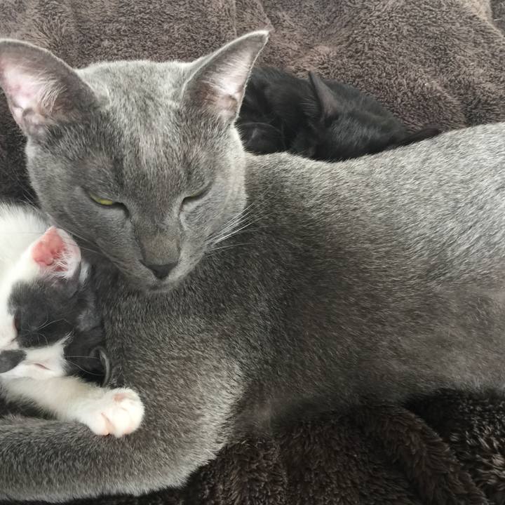 Ab4427a6 2e2c 4e05 815f 8dd031e26767