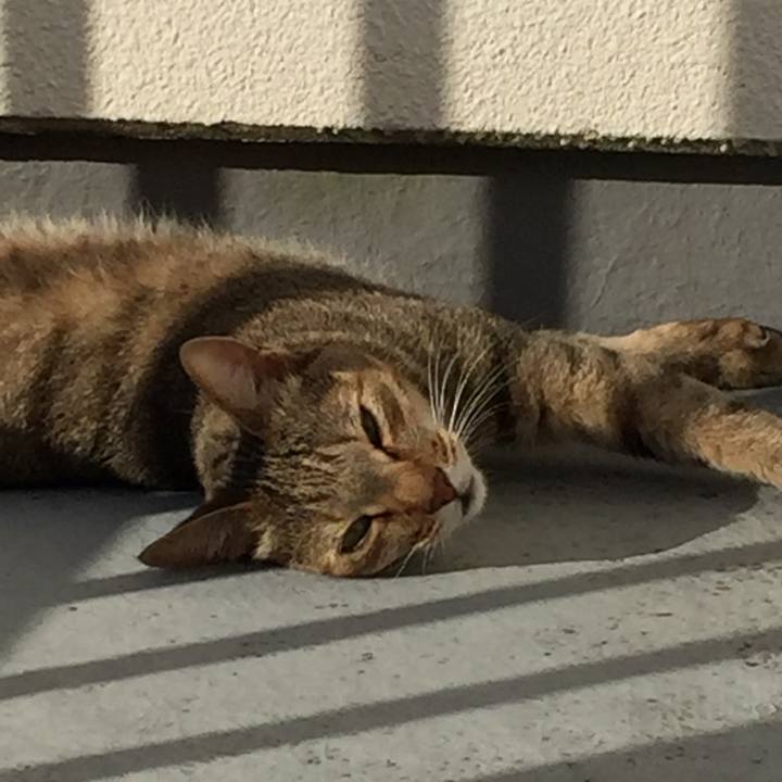 Ab443ba6 ed4b 43ed 81d8 505914804691