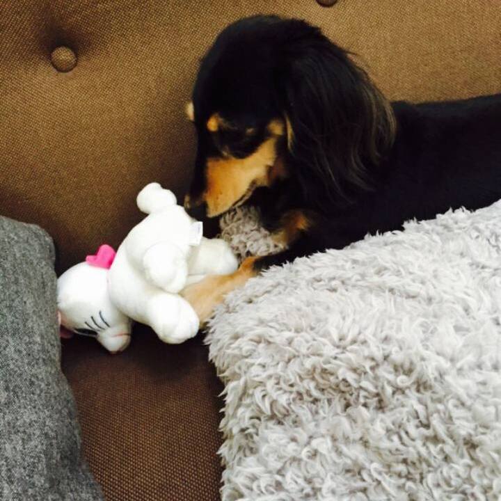 Ab4447b9 0316 446d 9d46 73aff87afad5