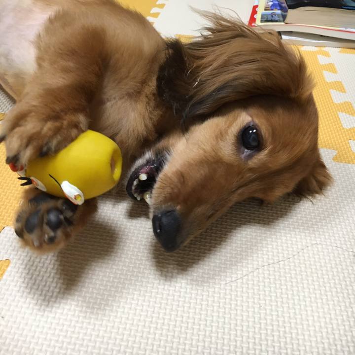 Ab448029 4d67 4ea4 8599 45397965c64b