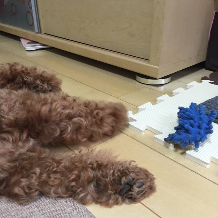 Ab44926b a9ba 4530 9e86 434892090435