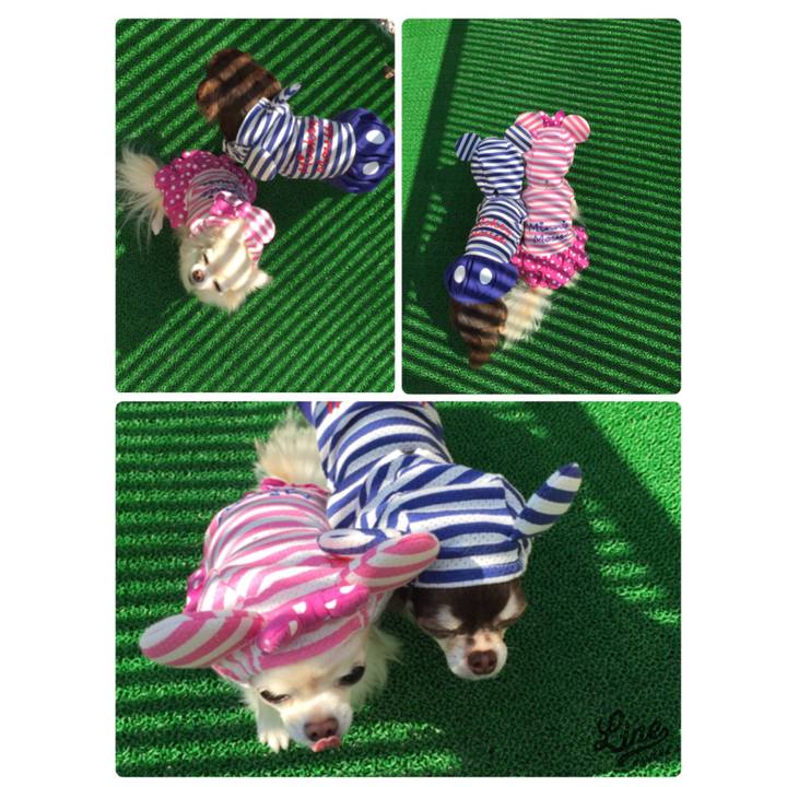 Ab44ae42 81a6 4d8f b4ab 576300bddccb