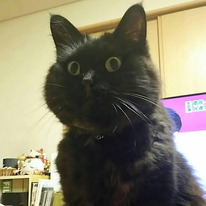 Ab44d433 33ae 4e67 9d65 fc6058d135d7