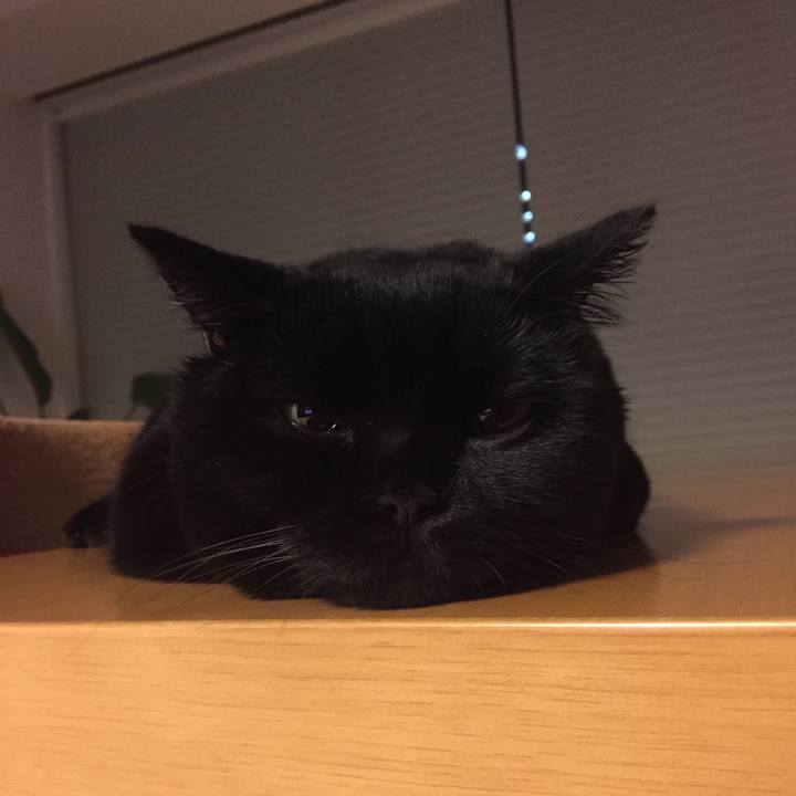 Ab45149d c727 41e6 9a93 3062db107a5b