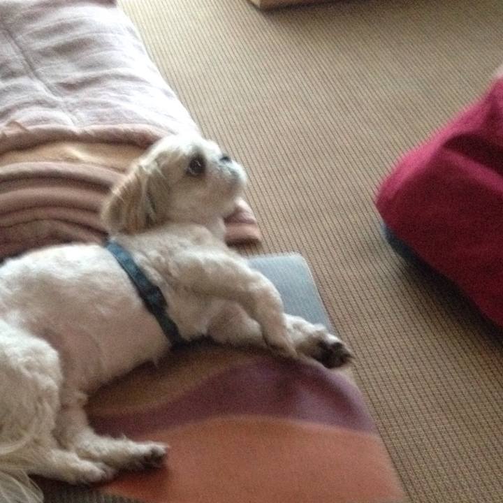 Ab4528dc 9a19 41bc 8fdb 47f397b112cb