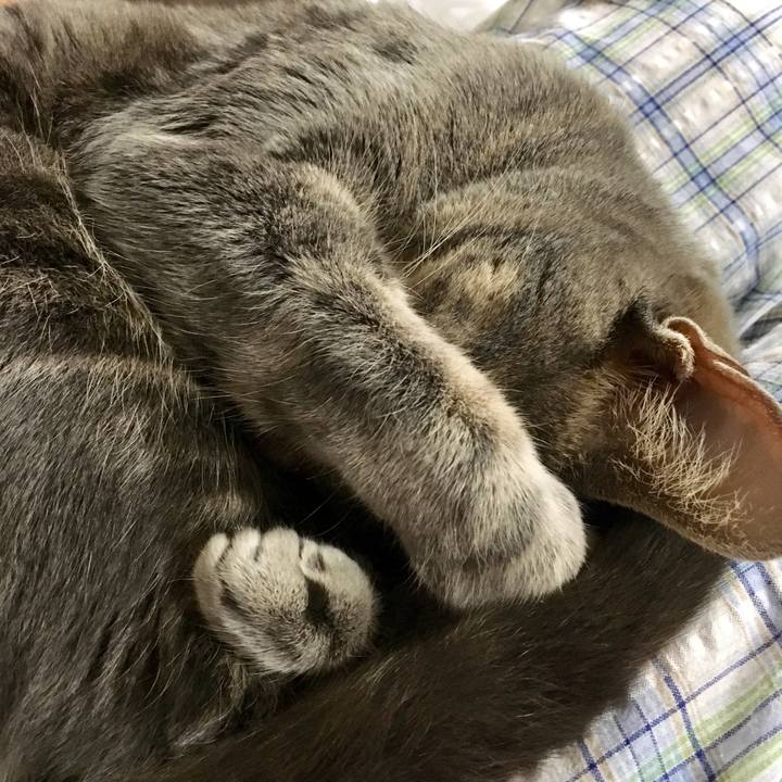 Ab458813 4780 4bcc 9621 d04fbead09d1