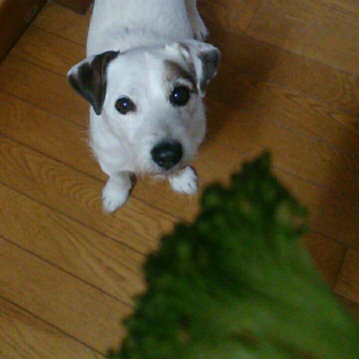 Ab45ab06 db7b 459d 9597 60c2e3ecc0d9