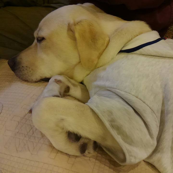 Ab45f64c 8701 413d b5a0 4817d2ea2a8c