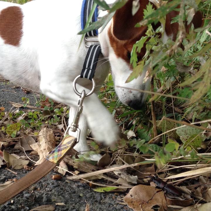 Ab4626da df49 4637 97f0 a7bf39c0a39d