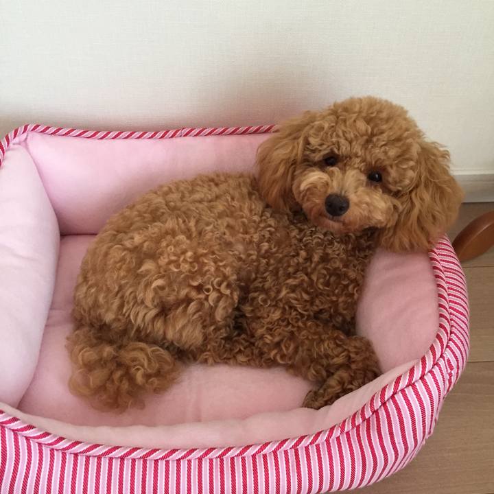 Ab463dbc 3542 4f20 ba91 200fe69f928a