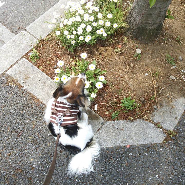 Ab468035 6ae1 43ef 863c 773e7e2f6444