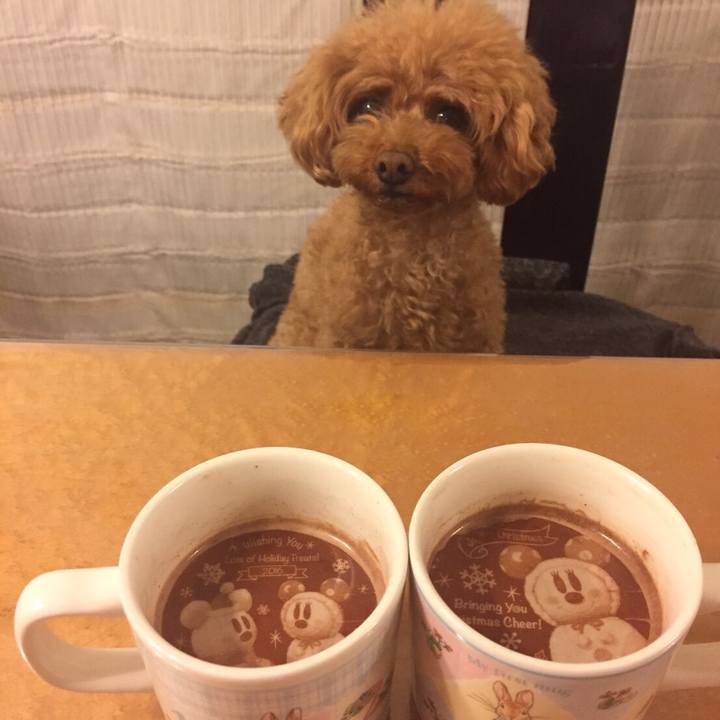 Ab469a43 ddfb 4c2e bd7d 8c8e7541d057