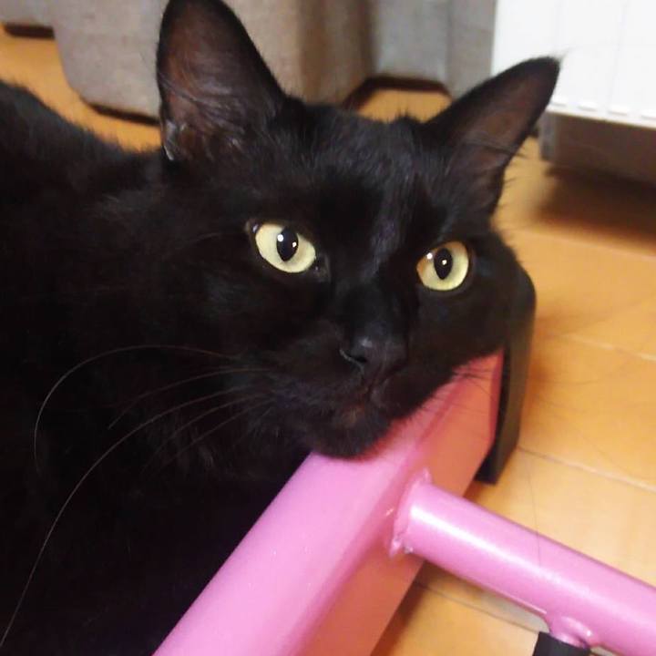 Ab46d81b 5c4d 4e88 9427 53c8854537f1