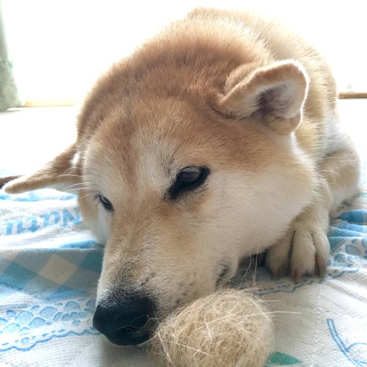 Ab46e5c7 7181 4821 b8cb 3c6826a41596