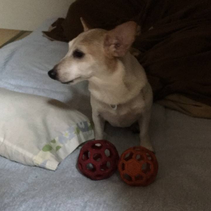 Ab471995 66b8 43ac b9d7 44531fe0c56e