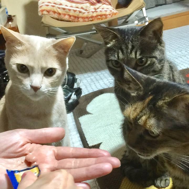 Ab4899e1 d482 49e7 ad85 23b72ae120ff