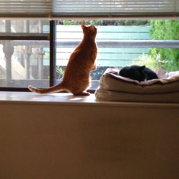 Ab48de7a 89d5 4423 ad5f 5b8f509fa267