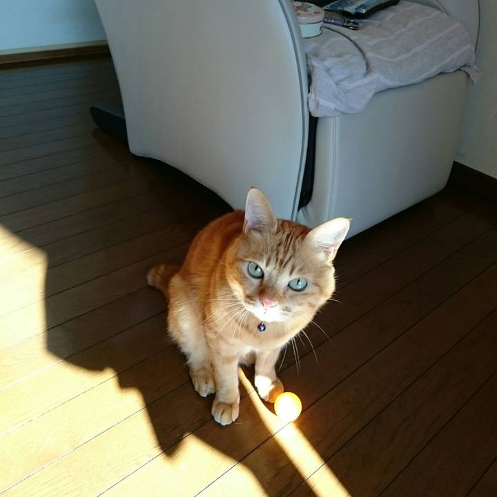 Ab496453 f945 4316 988f eae31a3d3044