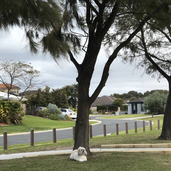 Ab4a7ba7 bbd0 46b7 b9ad 41984cc75ec8