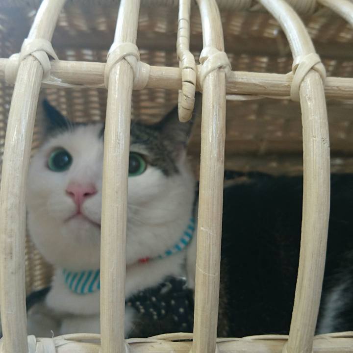 Ab4ab533 0903 4397 9b09 0c1f9ab3db6f