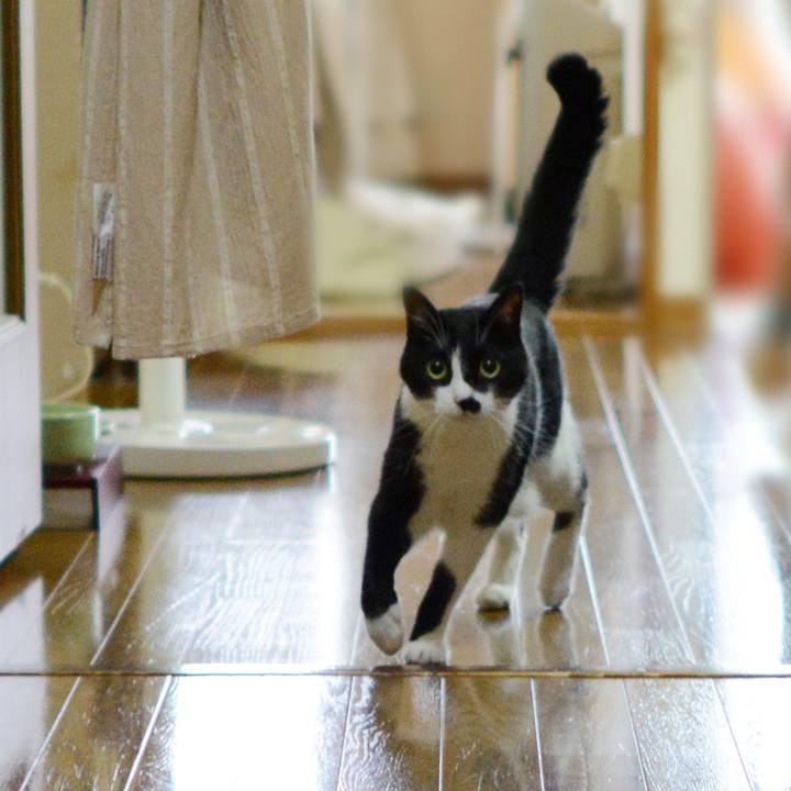 Ab4b0101 65d9 4512 9d03 e30310ef90e3