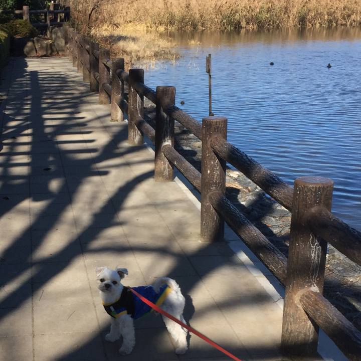 Ab4b7e46 87c1 482f a734 65ba66d6d1fd