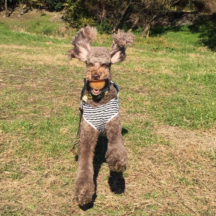 Ab4cc81e e27c 4aa8 b7fb 50d069ceb800