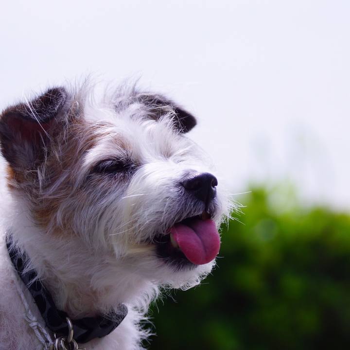 Ab4d7cae c02f 46bb 9cc5 8b9d527b1671