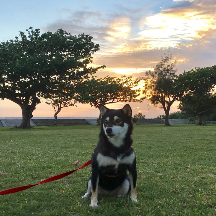 Ab4d97f0 906b 47a4 9ece e0a925eef647