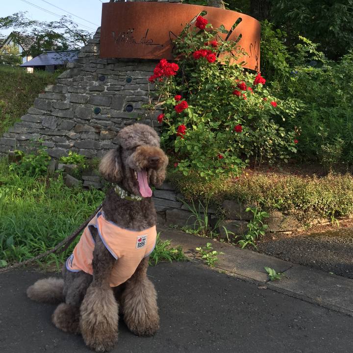 Ab4d9cbb 8e32 48be 99da 067f8ed7066f