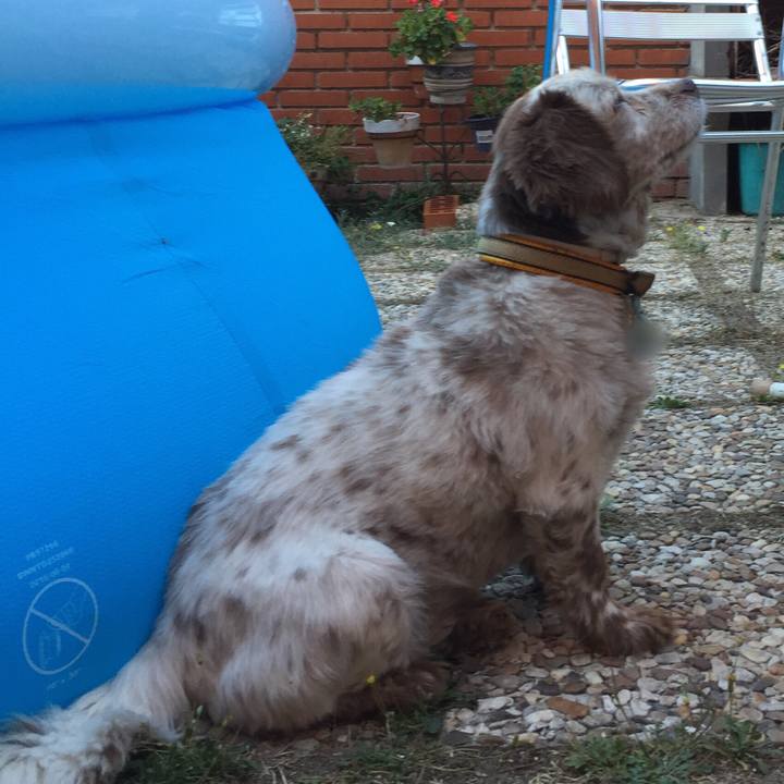 Ab4e3b92 78b4 4d05 ba14 8f739094b4a8