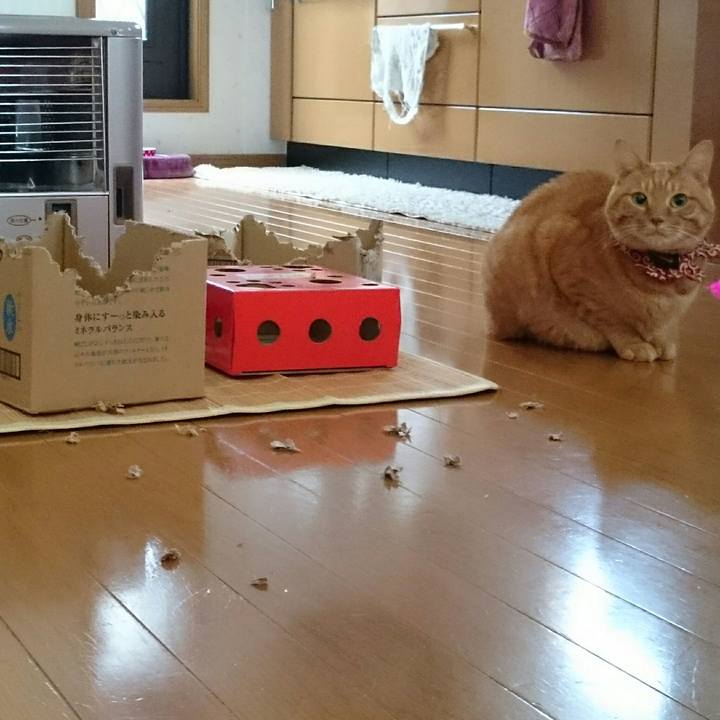 Ab4e3fe8 31df 4e36 a4b9 411c2c10f68c