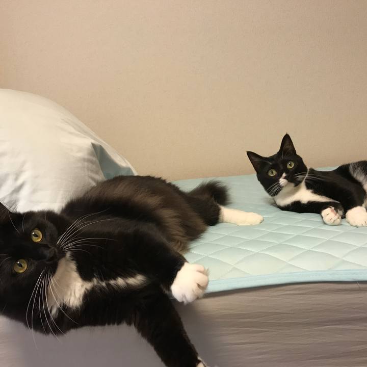 Ab4e7635 8a84 47b5 90d1 df0634a66f37