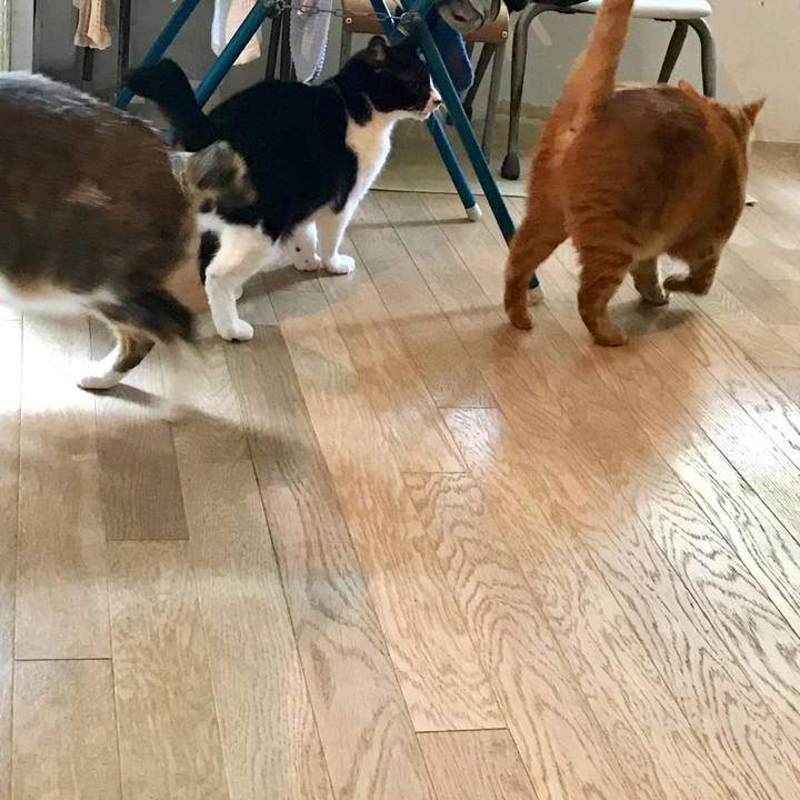 Ab5032ab 8148 4964 b630 55e6c82cbddc