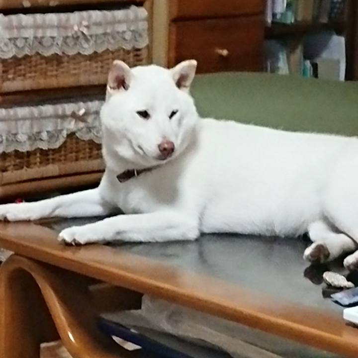 Ab50c6e8 75f9 4932 913c 0b983a8e068e