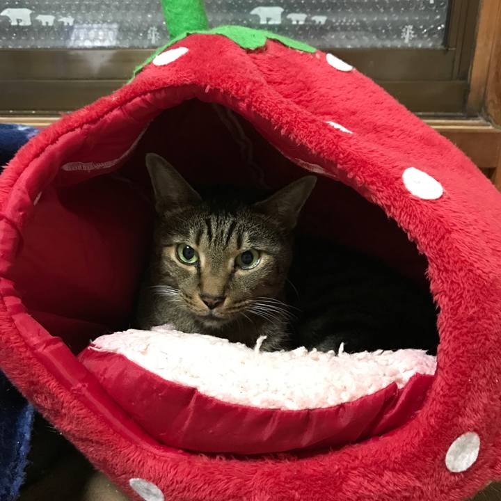 Ab50cfa3 3995 4922 a6c6 7f530395b190