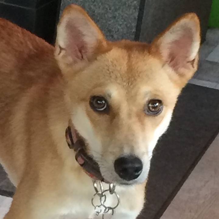 Ab519ec8 9dbe 48db 97c6 36fe69598426