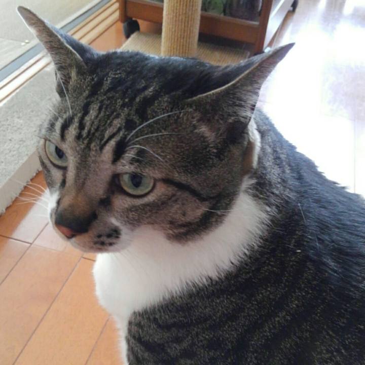 Ab529492 01f2 4d83 925f a147466b0489