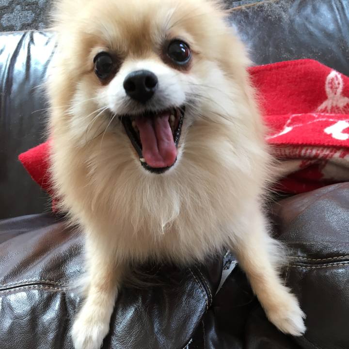 Ab530a00 21b4 4349 b820 8bc890c06987