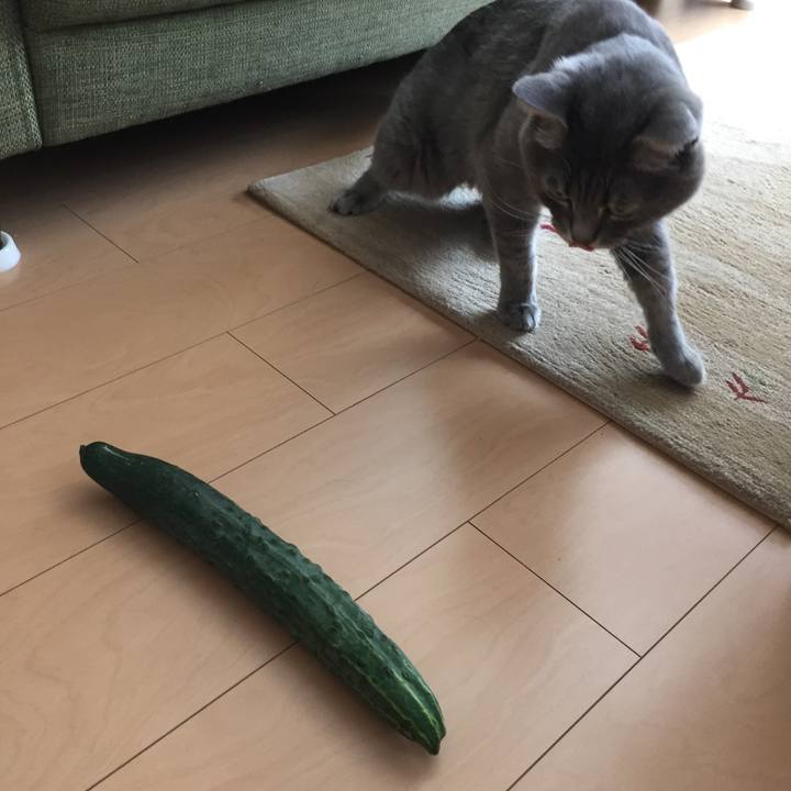 Ab539704 8263 496f 93d1 4e5f613d976e